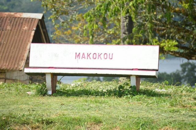 Gabon : Ali Bongo attendu du 20 au 21 avril à Makokou