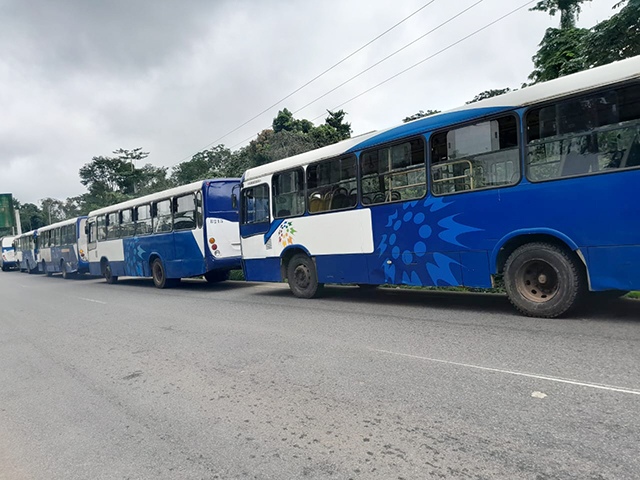 Gabon/Baccalauréat 2023 : les candidats du Grand Libreville et de l’intérieur transportés gratuitement