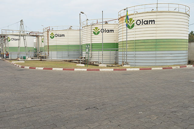 Olam Palm Gabon : sereine reprise des activités sur l’ensemble des sites !!!