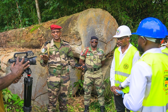 Gabon : Le ministère des Eaux et Forêts lance la valorisation des bois abandonnés dans l’Estuaire